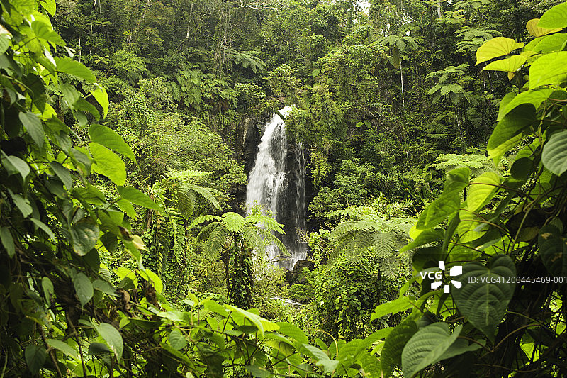 斐济塔韦乌尼岛布马瀑布图片素材