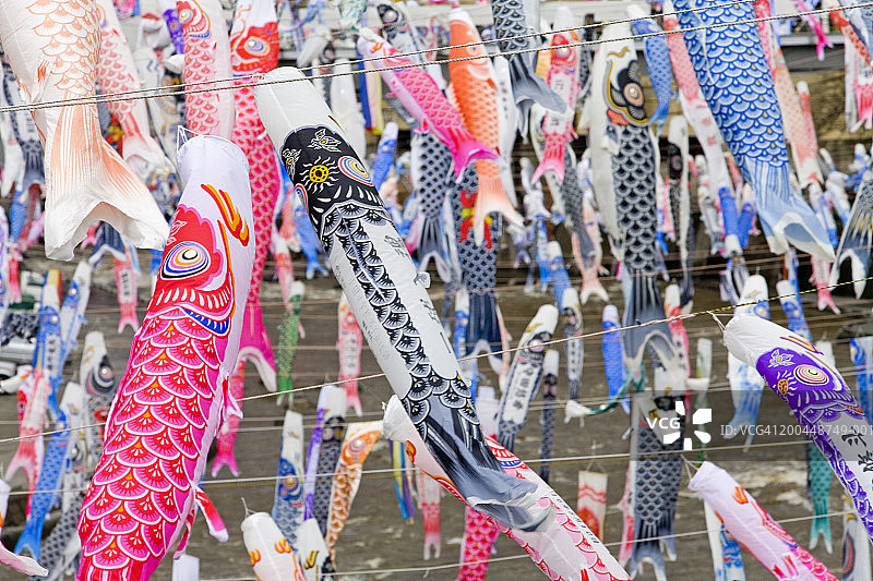 日本九州：为有男孩的家庭悬挂的鲤鱼旗图片素材