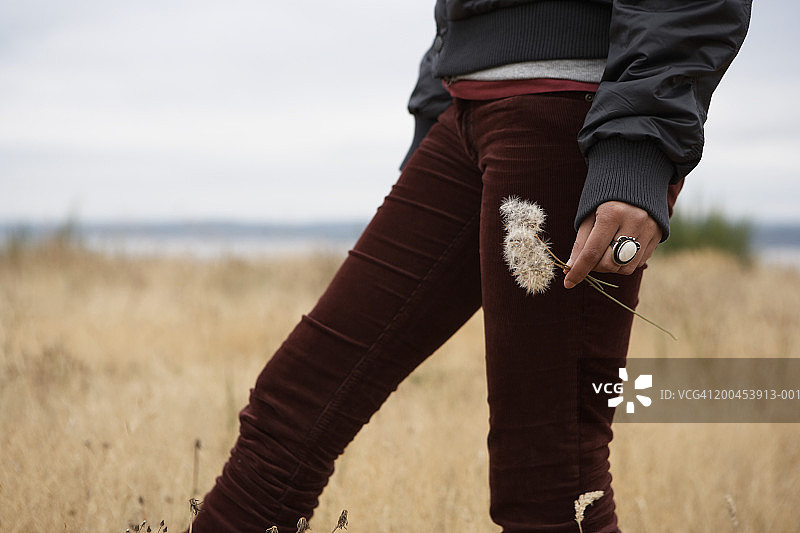 拿着蒲公英种子的少女（15-17岁），中间部分图片素材