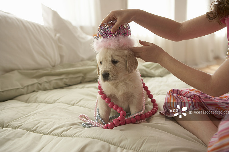 女孩（8-10岁）和狗在床上，给狗装饰图片素材
