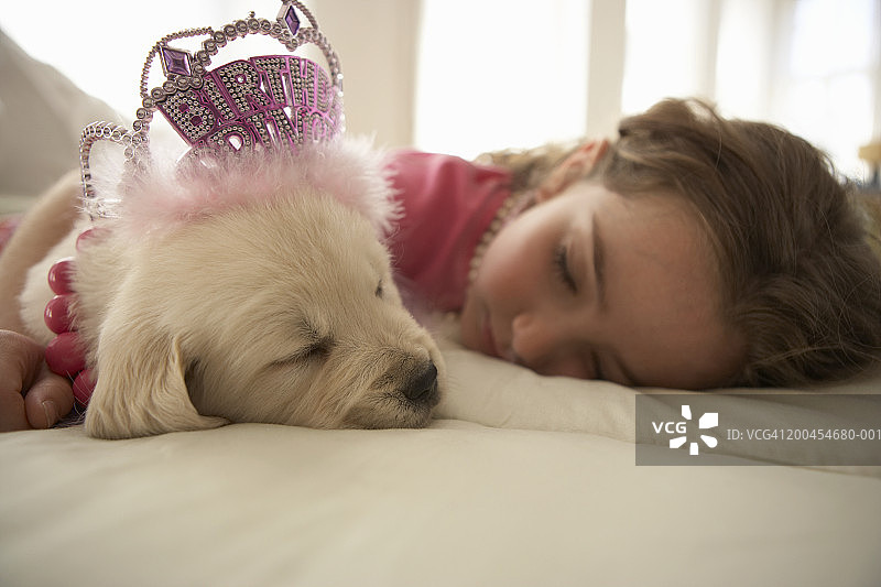 和小狗一起在床上睡觉的小女孩（8-10岁）图片素材
