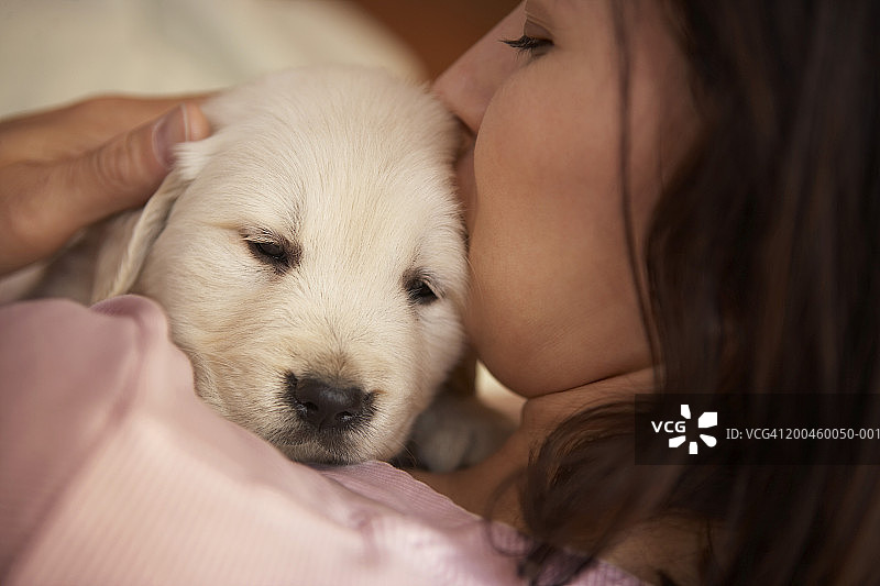女人抱着金毛寻回犬幼犬，肩上视角特写图片素材