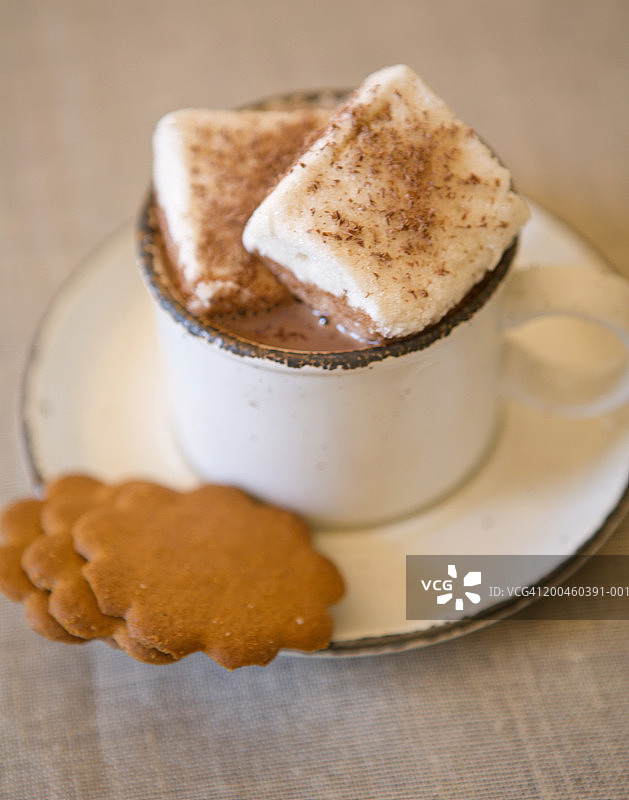 碟子里的棉花糖热巧克力和饼干图片素材