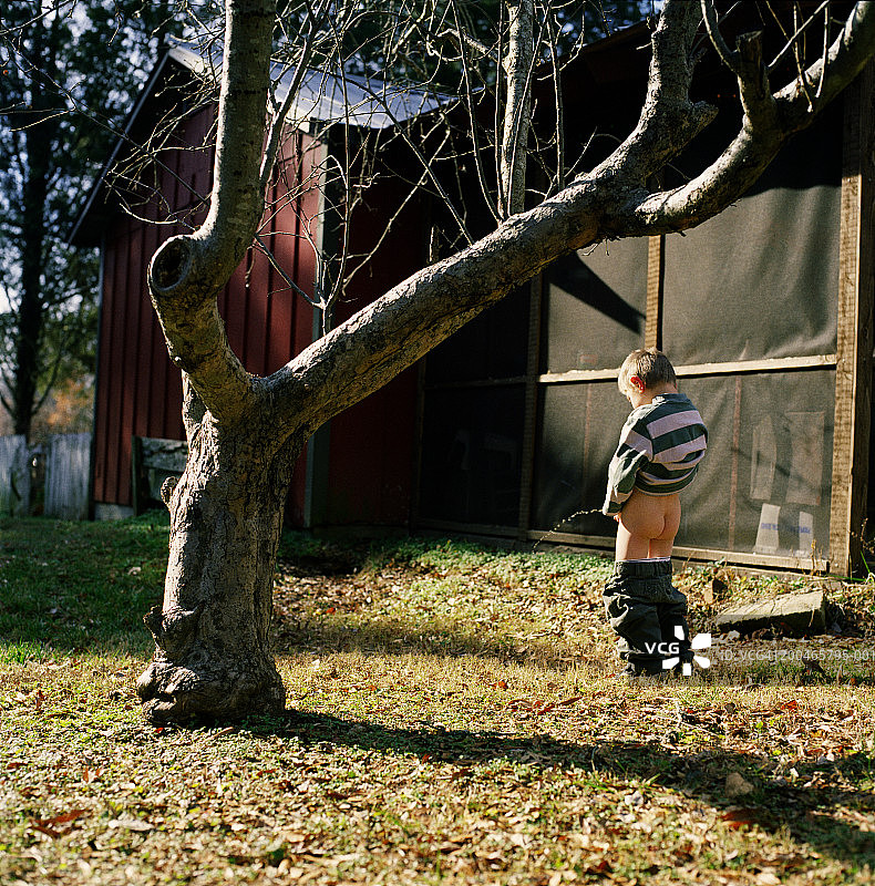 男孩在院子里小便的背影图片素材
