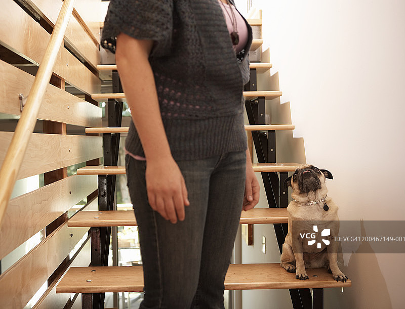 站在楼梯上哈巴狗旁边的女人（焦点在哈巴狗身上）图片素材