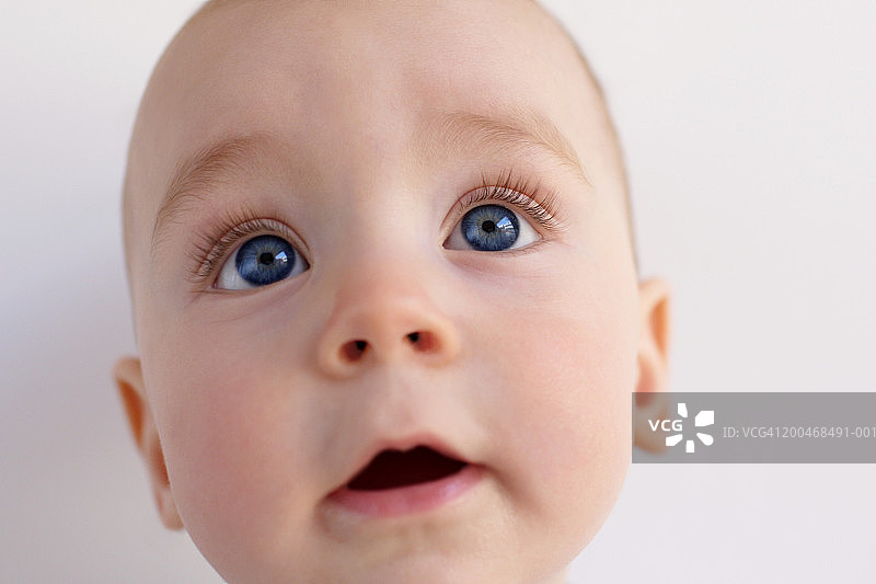 男婴（6-12个月）特写图片素材