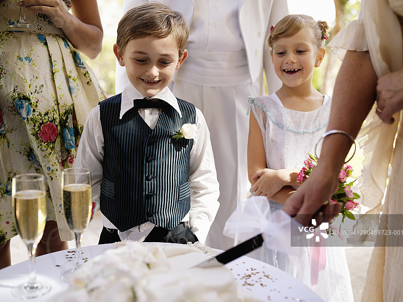观看婚礼蛋糕被切片的男童和女童(6-7岁)图片素材