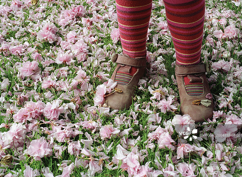 站在樱花树下的女孩（2-4岁），低角度拍摄图片素材
