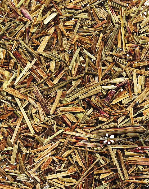 小酸模图片素材