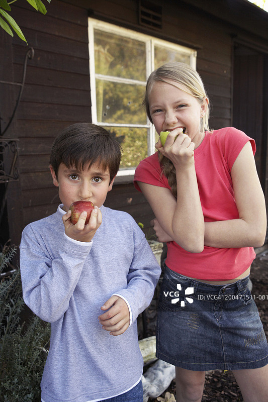 兄妹(7-11岁)在花园小屋旁吃苹果图片素材