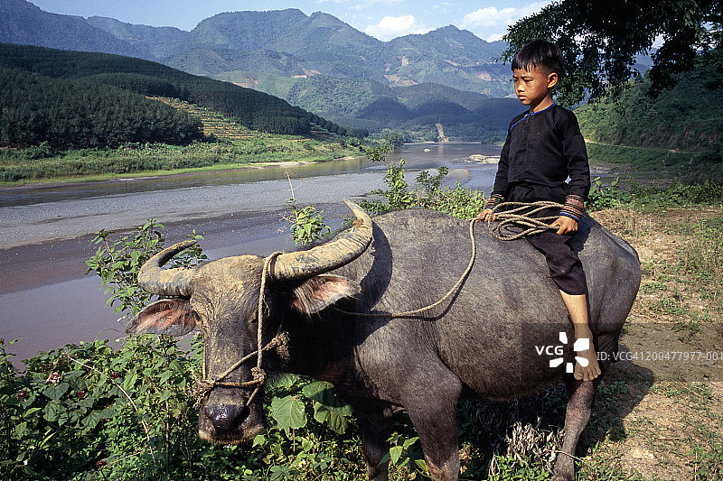 儿童骑水牛图片素材
