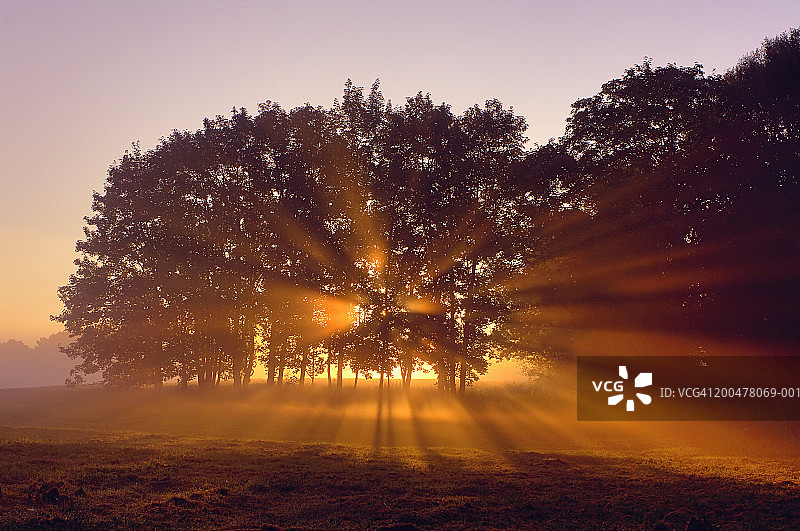 田野树林间的阳光，日出图片素材