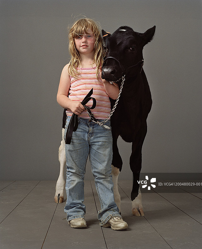 与小母牛在一起的女孩（5-7岁）肖像图片素材