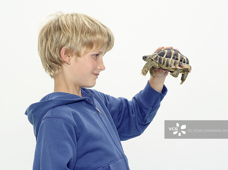 拿着乌龟的男孩（8-10岁）侧视图图片素材
