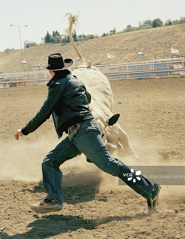 牛仔在竞技比赛中躲避公牛，后视图图片素材