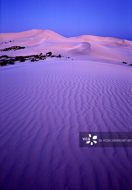 西澳大利亚州尤克拉国家公园的沙丘在黄昏时分图片素材