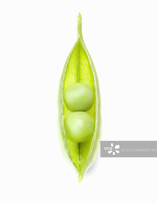 白色背景上的两颗豌豆，特写图片素材