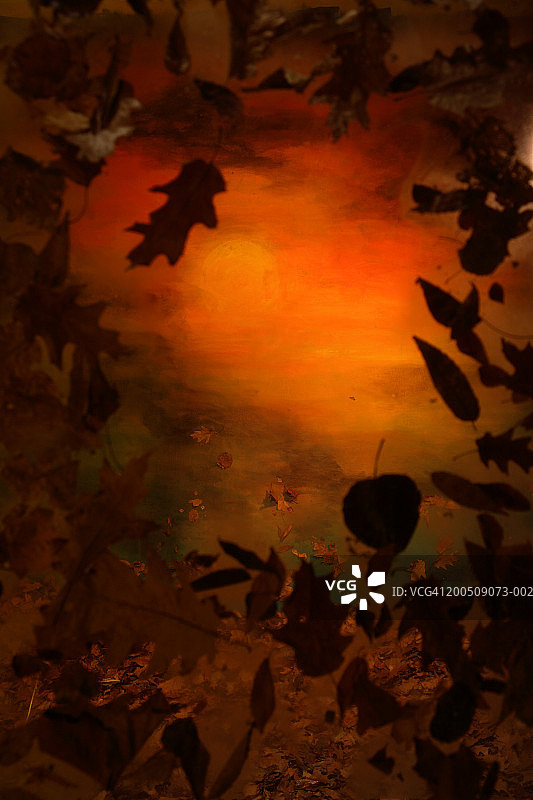 晚霞下的落叶（数字合成图）图片素材