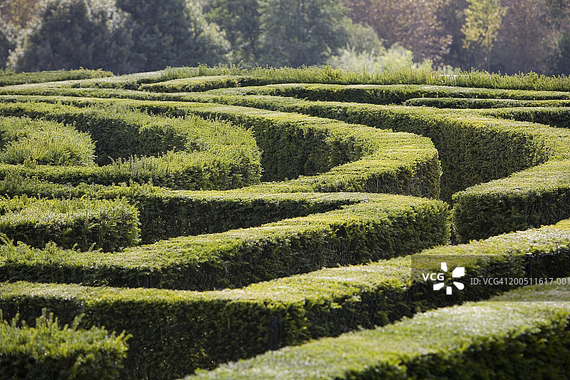 英国利兹利兹城堡夏季迷宫图片素材