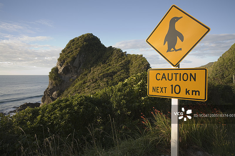 新西兰南岛普纳凯基企鹅穿越标志图片素材