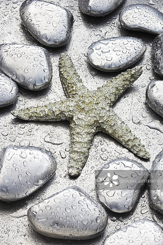 金属海星与金属石块特写图片素材