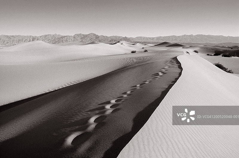美国加利福尼亚州死亡谷沙丘中的脚印（黑白）图片素材