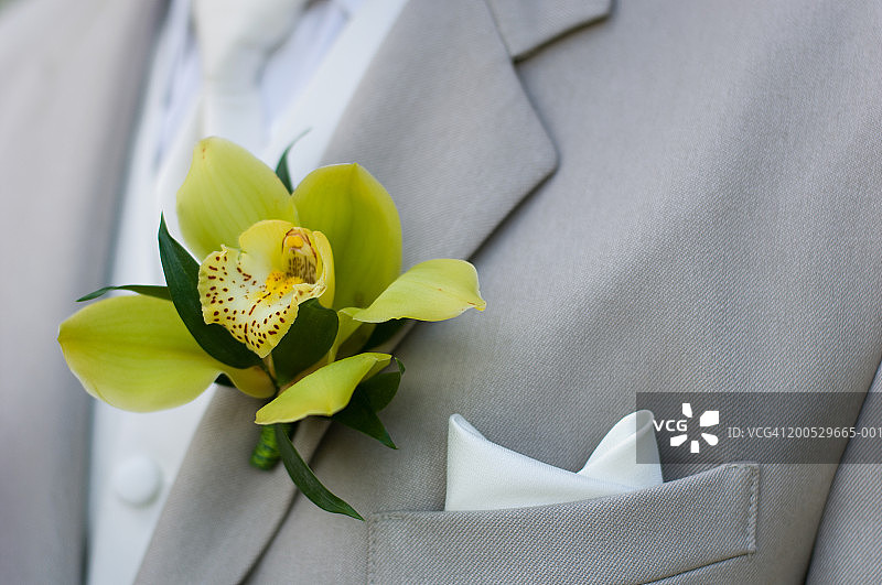 穿着燕尾服的伴郎，中段（焦点在胸花上）图片素材