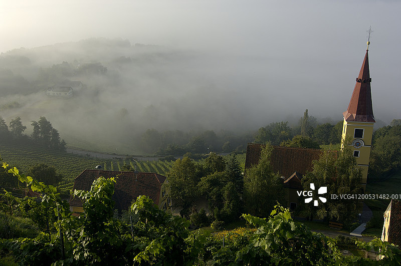 奥地利施蒂利亚州卡芬斯坦，葡萄园梯田笼罩在薄雾中图片素材