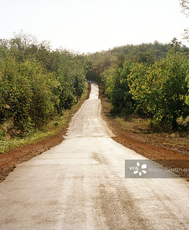 穿过森林的铺砌道路图片素材