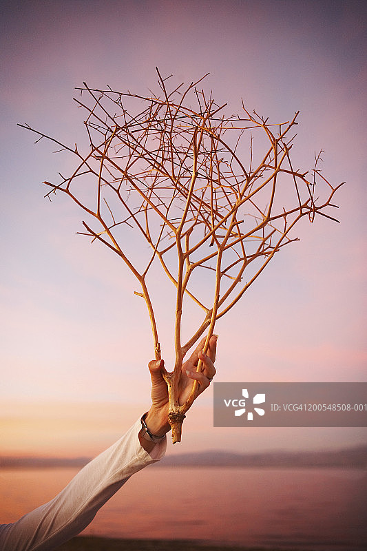 男人在日落时手持树枝图片素材