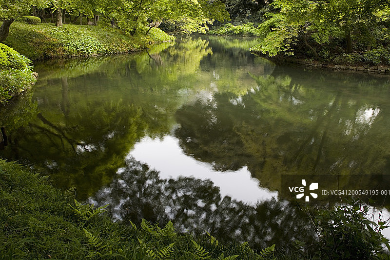 日本东京小石川后乐园，池塘图片素材