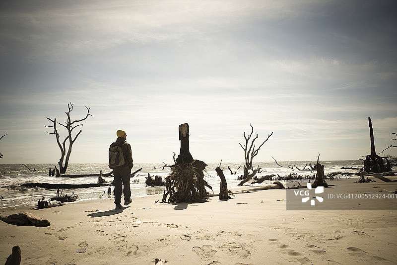 在公牛岛上徒步的男人，后视图图片素材