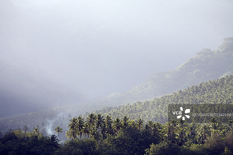 法属波利尼西亚努库希瓦岛：塔伊皮瓦伊山谷图片素材