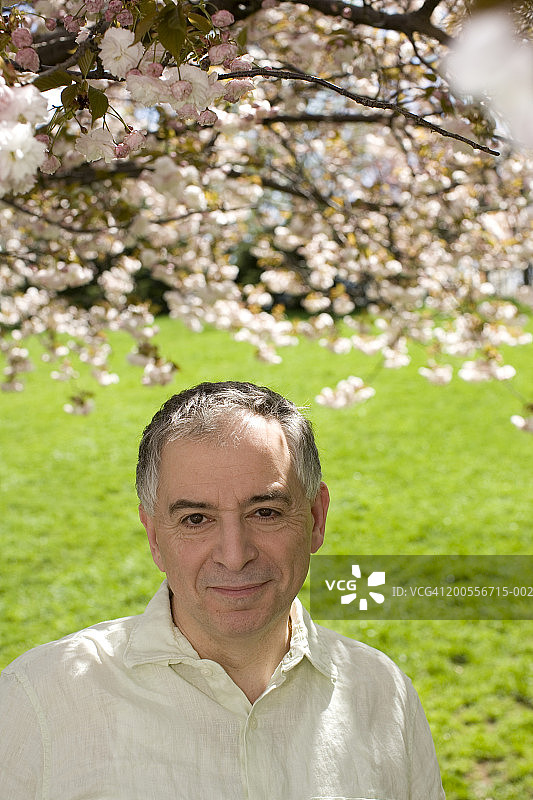 樱花树下的老年男人肖像图片素材