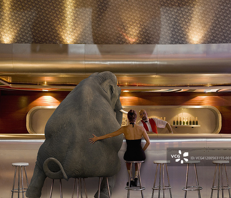 大象和女人坐在酒吧里图片素材
