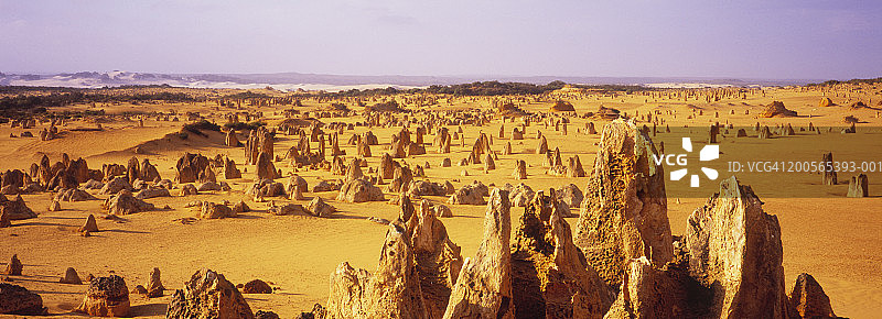 澳大利亚西澳大利亚州南邦国家公园的尖峰石阵图片素材