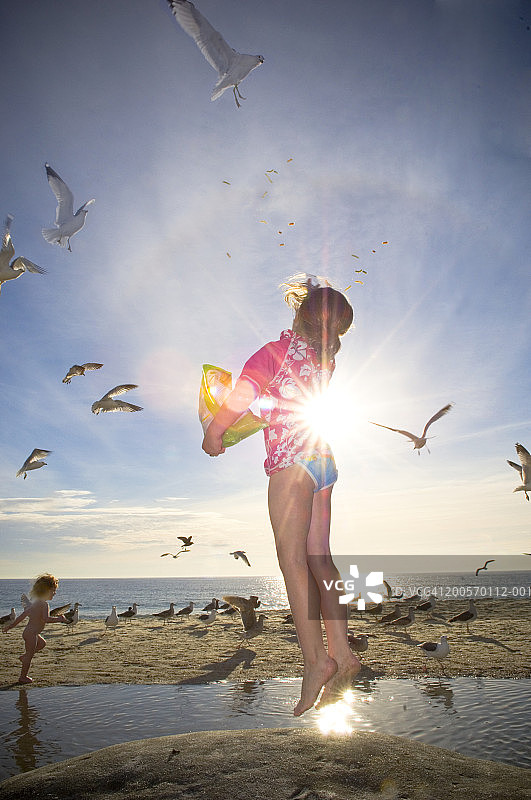 在海滩上向海鸥投喂食物的儿童图片素材