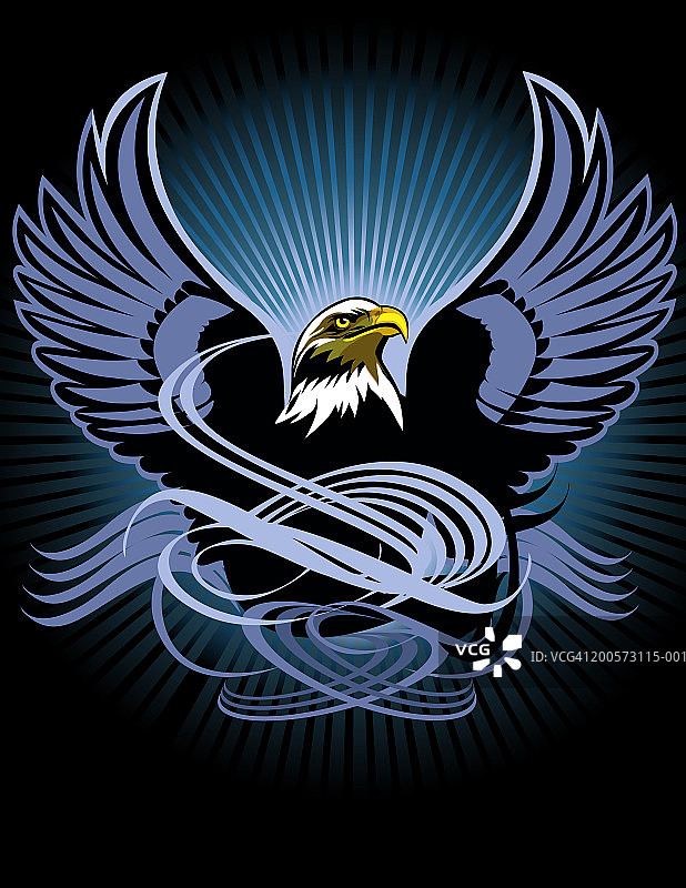 白头海雕图片素材