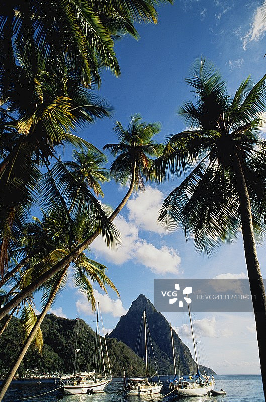 圣卢西亚，苏弗里耶尔湾，小皮通峰和船只，棕榈树图片素材