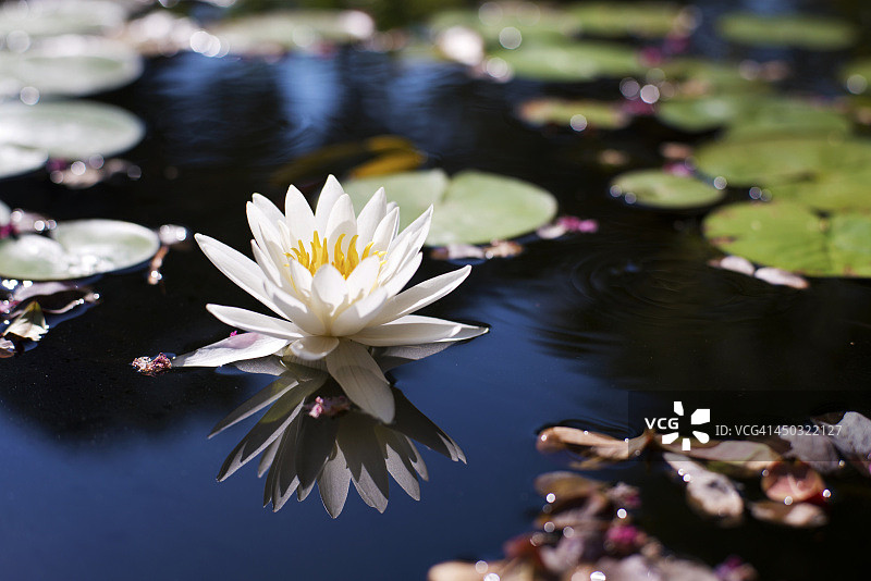 水的意境图片素材