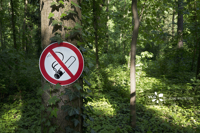 树林区域树干上张贴的禁止吸烟标志图片素材