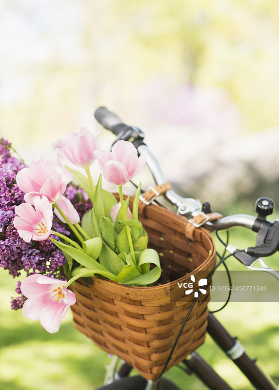 篮子里的鲜花特写图片素材