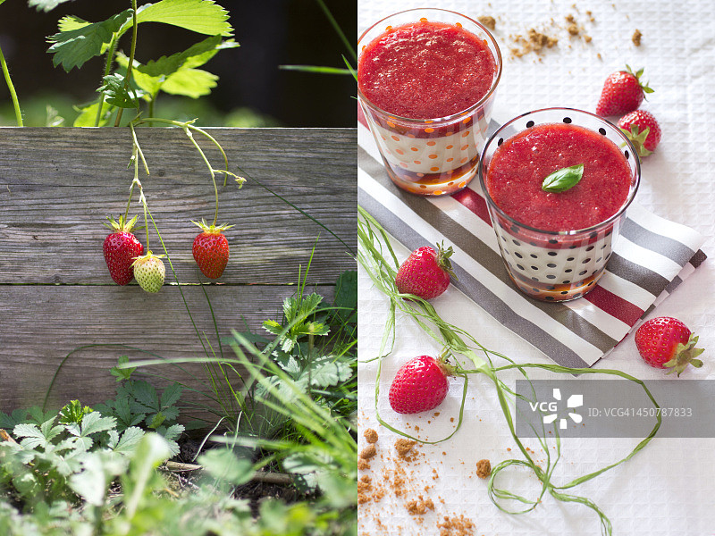 意式奶冻配瑞可塔奶酪、草莓和焦糖咖啡图片素材