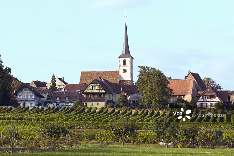 米特尔贝格海姆葡萄园风光图片素材