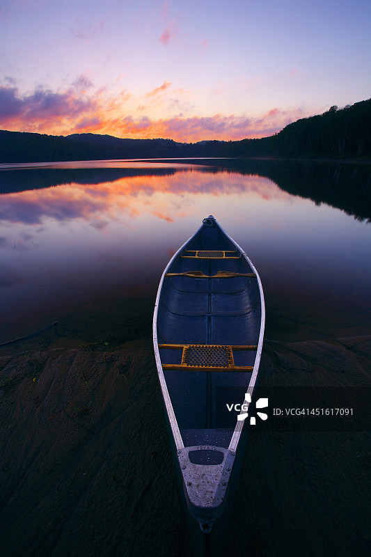 慈姑的黎明图片素材