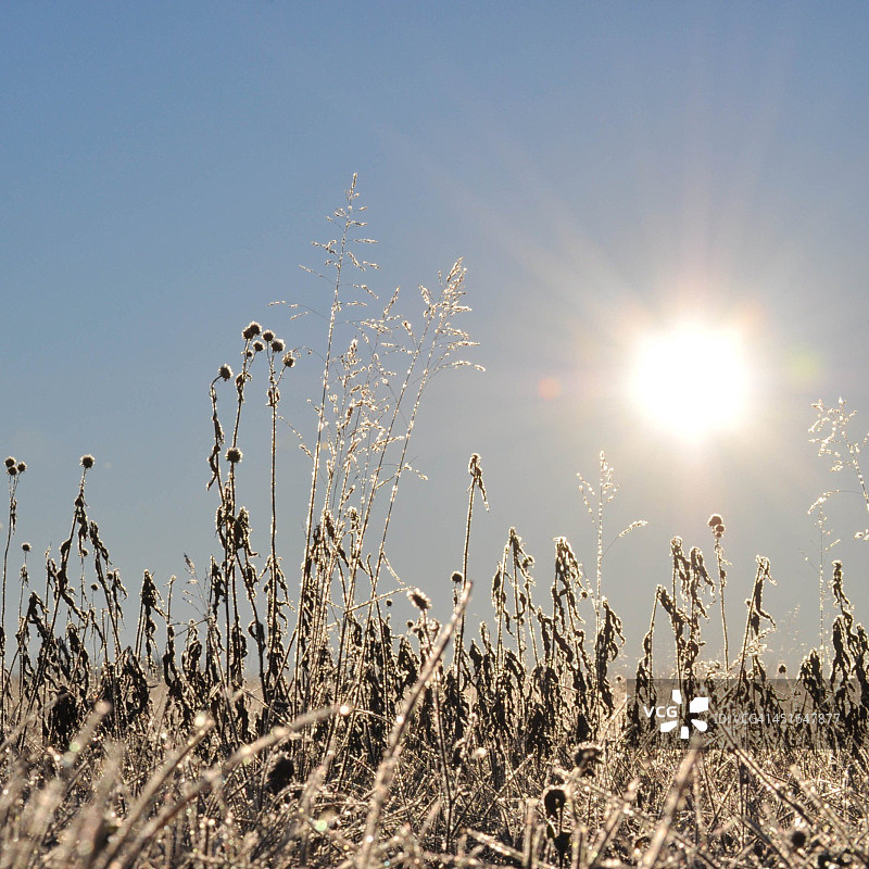 追逐阳光的人图片素材
