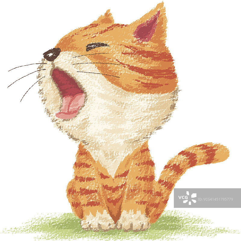 哈欠的虎斑猫图片素材