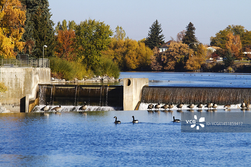 蛇河旁的爱达荷福尔斯市公园图片素材