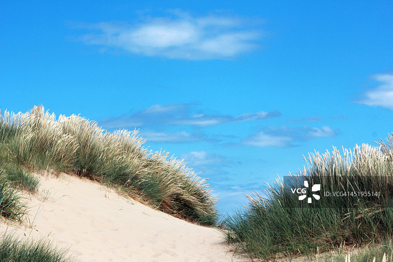 沙丘和海滩茅草图片素材