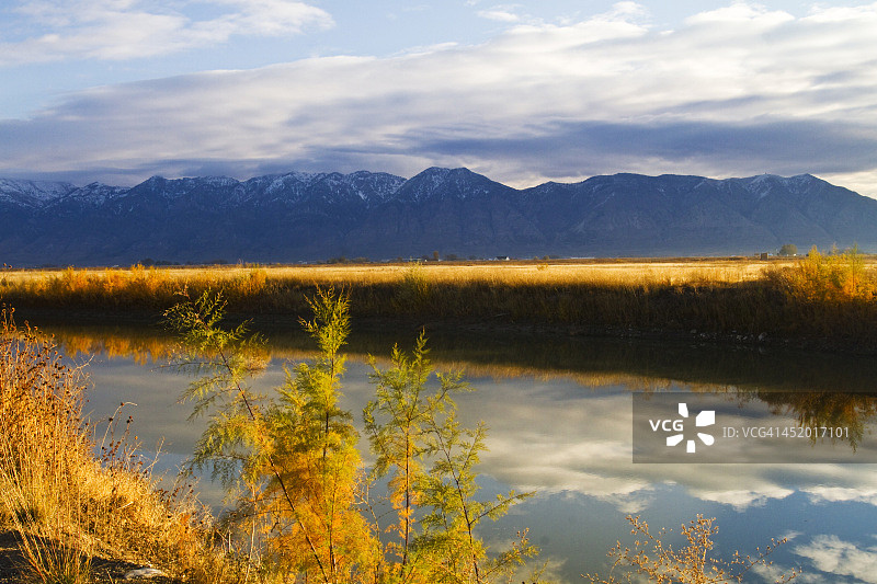 贝尔河候鸟保护区图片素材